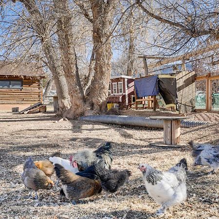 Cozy Parowan Studio 12 Mi To Brian Head Resort! Экстерьер фото